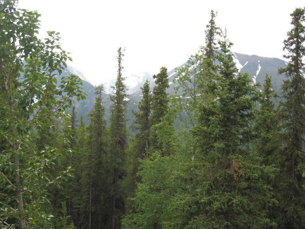 The Perch Resort Denali Park 외부 사진